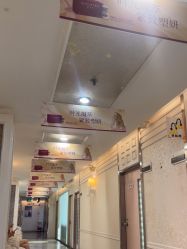 -深圳阳光医疗美容医院·旗舰店