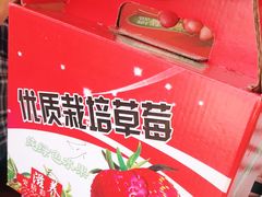 -青浦采草莓天天草莓园