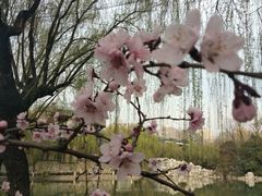 -西安市长乐公园
