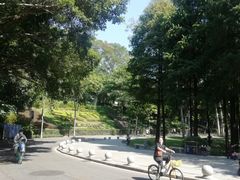 -畔山酒店中餐厅