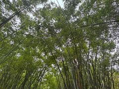 -晓港公园