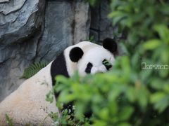 -泉州海丝野生动物世界