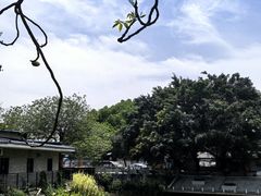 -长洲岛