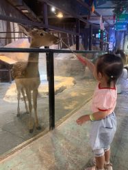 -酷嗒动物文化乐园(cutezoo西溪乐天城店)