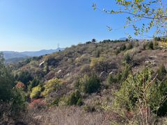 -白水寺森林公园