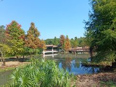 -同里国家湿地公园