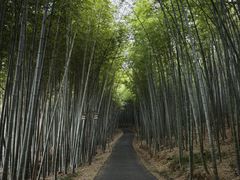 -苏州环秀晓筑养生度假村