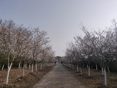 -上海海湾国家森林公园