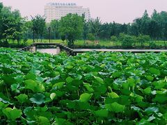 -柯岩风景区