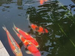 -西安市广仁寺