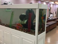 -慈铭体检(洋桥分院)
