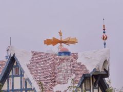 -上海海昌海洋公园