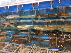 -渔中舟海鲜大排档(普陀沈家门店)