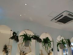 -春树下·树屋花房西餐厅(罍街AS1980店)