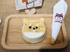 柴可可慕斯-柴迷FANS CLUB·柴犬狗咖·猫咖