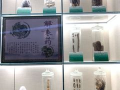 -广东中医药博物馆