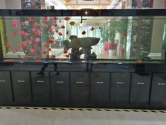 -雅和生态渔庄·宜城锅巴饭(龙灵山公园店)