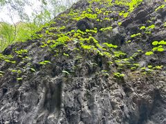 -野三坡百里峡景区