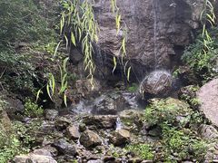 -幽岚山·童话森林