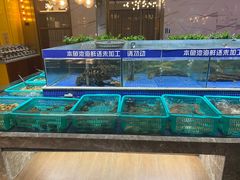 水产区-丰卓会海鲜自助(中润大道店)