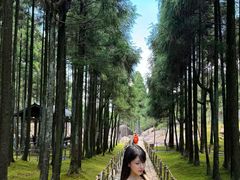 -玉苍山国家森林公园