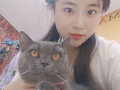 -Heymao猫咖.咖啡厅(东门店)