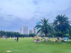 -万绿园