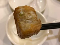-大中鱼翅 Taitong Shark Fin