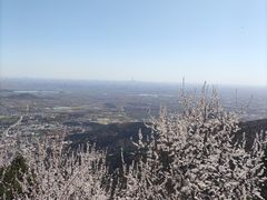 -香山公园