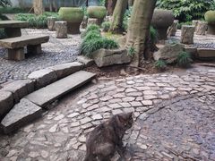 -绮园景区