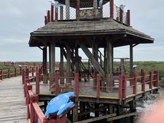 -北海金海湾红树林生态旅游区