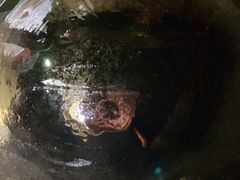 -美食美客土烙锅店·老字号