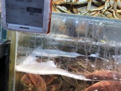 -吾悦广场(南京鼓楼店)