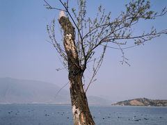 -大理洱海