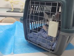 -达爱动物医院·犬猫分区·CT·复杂眼科(远洋山水分院)