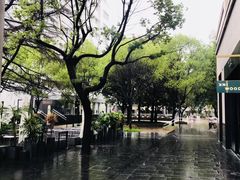 -Seesaw Coffee(上生新所店)