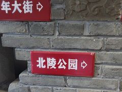 -那家老院子东北菜·饺子·小鸡炖蘑菇(艳华街店)