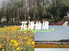 -海珠湖公园