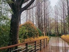 -郑州植物园