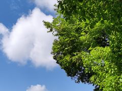 -贵阳市花溪国家城市湿地公园