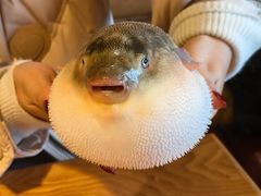 -永安鱼庄·镇江菜(丁卯店)