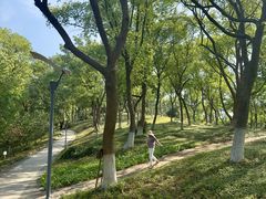 -上海市保健医疗中心