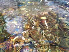 -盒马鲜生(莱蒙都会店)