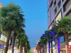 -沙洲路步行街(长安南路店)