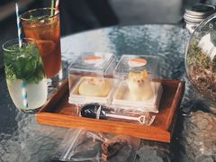 -柴犬高等学院·狗咖·柴犬售卖·宠物训练