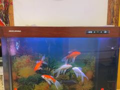-东来顺饭庄(金泉广场店)