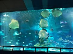 -泉城欧乐堡海洋极地世界
