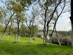 -瑶湖郊野森林公园