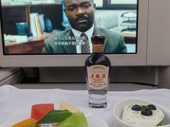 -米兰-马尔彭萨机场