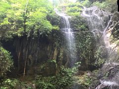 -莫里热带雨林景区